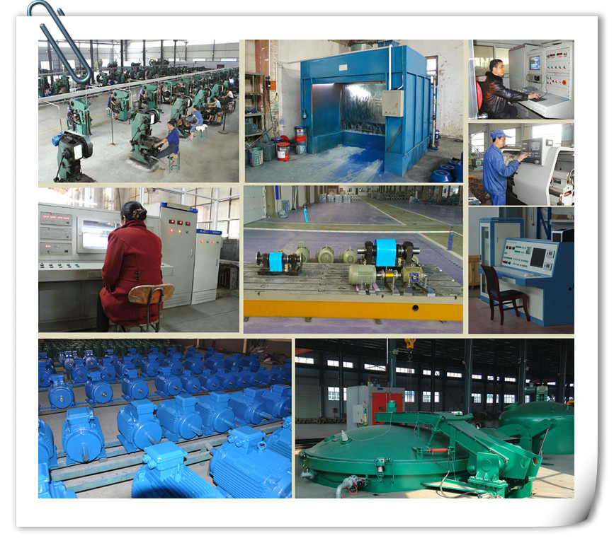 Single Phase Aluminum Housing Induction Motor