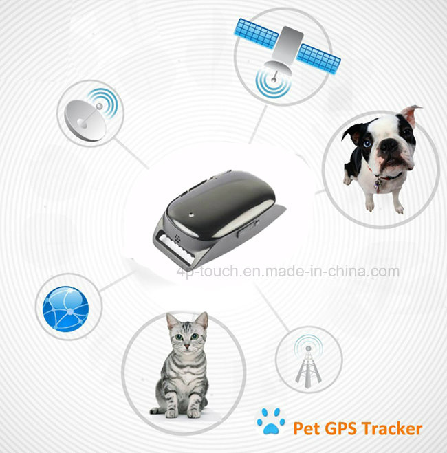 Mini IP66 Waterproof Pets GPS Tracker with Real Time Tracking (EV200)