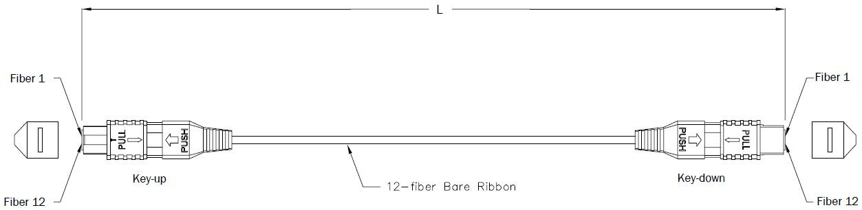 MPO Patch Cord Cable Assemblies