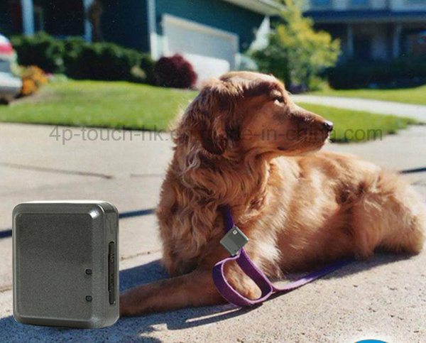 Portable Mini GPS Tracker with GPRS Real-Time Tracking V8