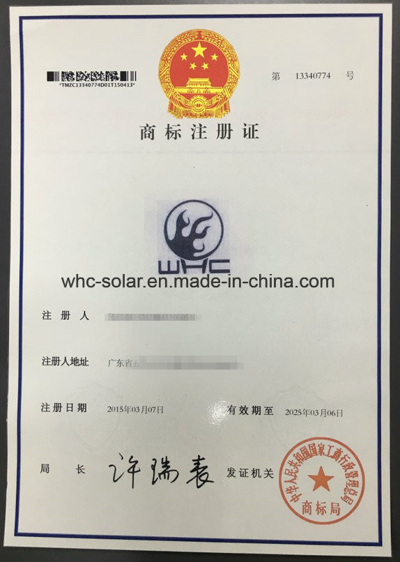 Professional True Sine Wave Solar Power Inverter 3000W