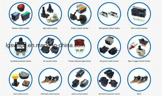 Not Locked (on) -off 2 Pins Push Button Switches 16A250VAC