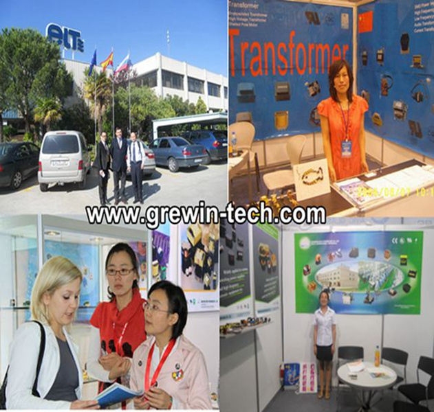 Manufacture Toroidal Transformers Through Advanced Technolgy, Your Reliable and Honest Supplier in China