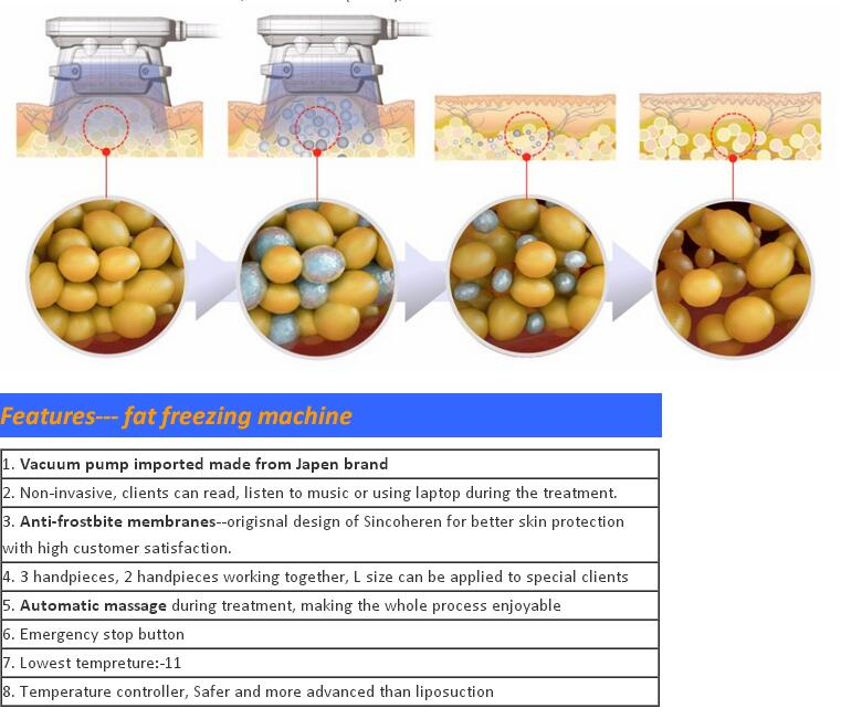 Sincoheren Fat Freezen Cryolioplysis Fat Frozen Equipment- Coolplas Ce Certificate